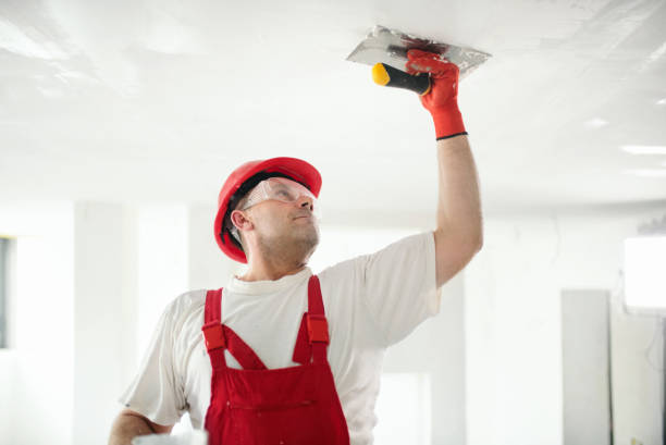 Best Residential Painting  in Ridgway, CO